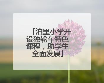 泊里小学开设独轮车特色课程，助学生全面发展